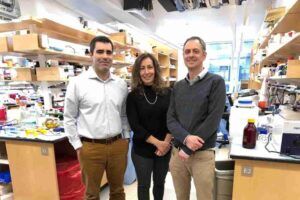 Three scientists in a lab